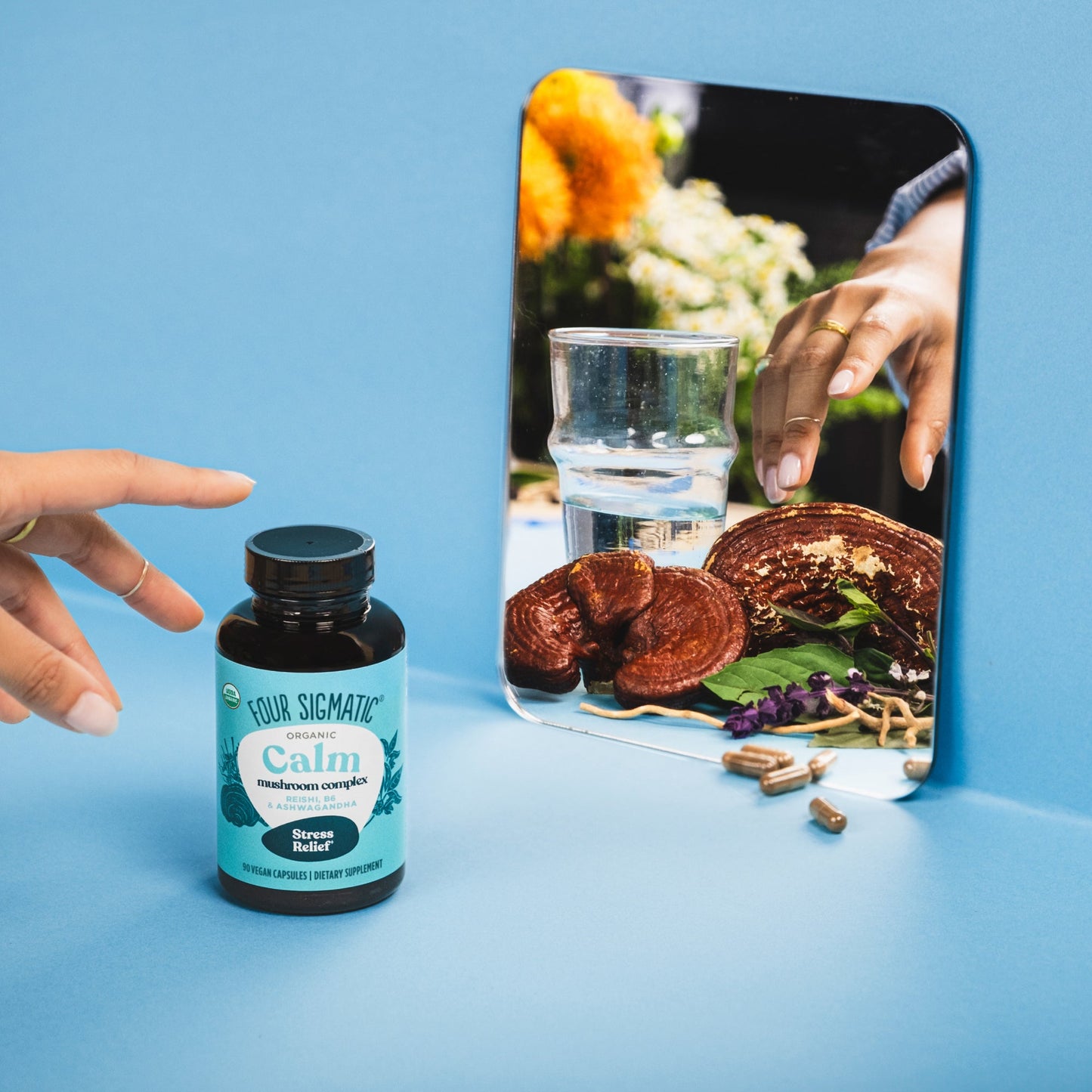 calm-capsules-e8 calm-capsule-1.jpg